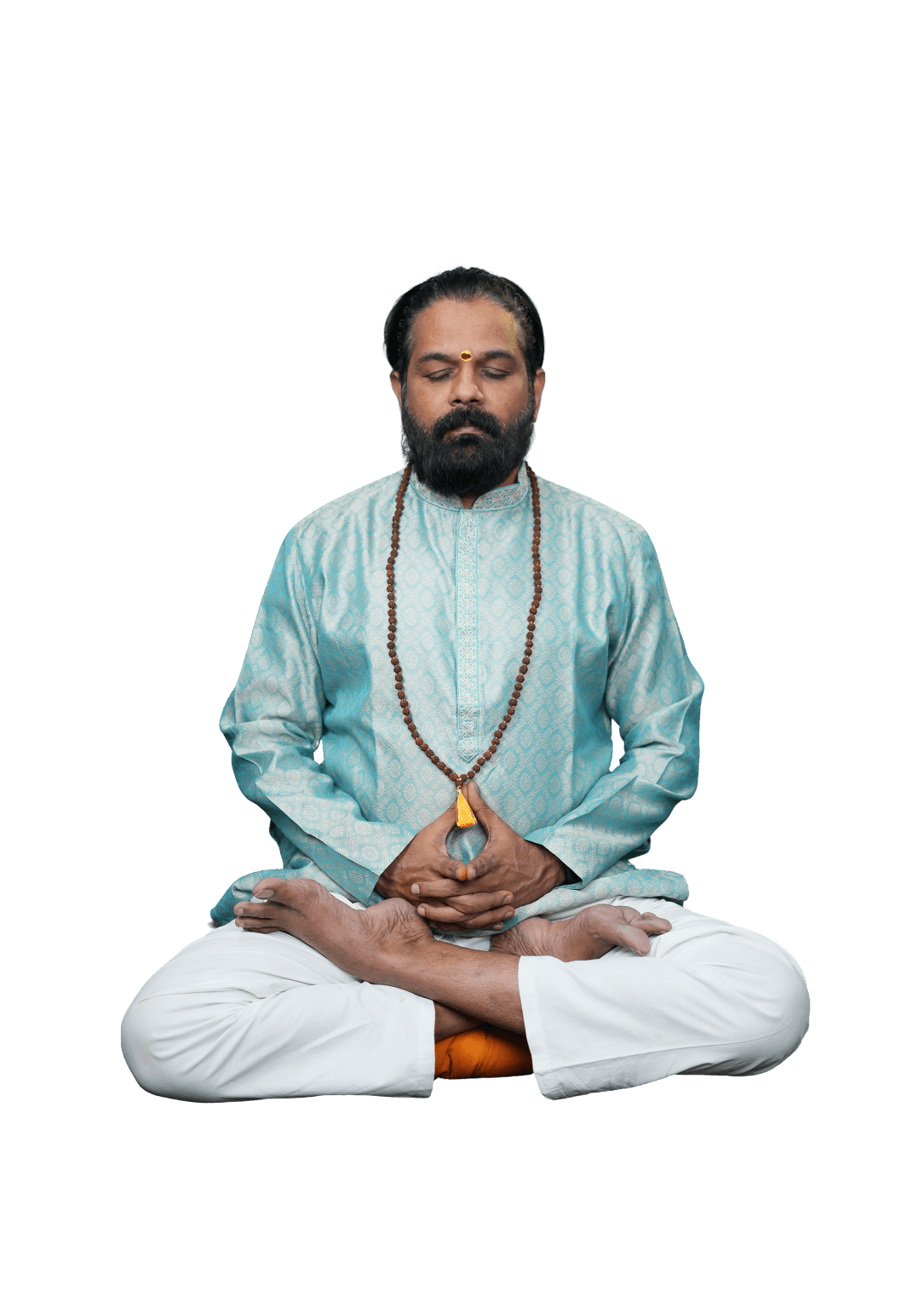 Acharya Ashok, founder of Bodhi School of Yoga